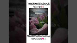 Obohela🚫kosto ytshorts emotional bananideb sadrealityofgirlslife কষ্টআমারভুবনছ১ত [upl. by Ximena208]