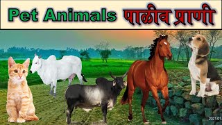 पाळीव प्राण्यांची नावे l पाळीव प्राणी l Paliv Prani l Domestic Animals l Animals  Pranyanchi Nave [upl. by Dupin511]