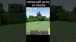 minecraft pros vs noobs [upl. by Adnilreh]