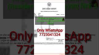 Niwas Praman Patra Kaise Banaye  domicile certificate online apply 2024 ytshorts yojana viral [upl. by Olsson54]