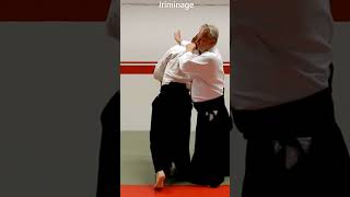 Aikido in slow motion TAI SABAKI leaving the line of the attack by Stefan Stenudd [upl. by Araldo766]