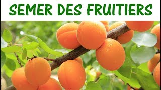 SEMER DES ARBRES FRUITIERS  semer des noyaux et pépins [upl. by Llyrehc207]