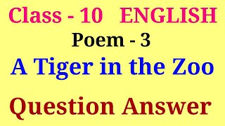 A tiger in the zoo question answer  class 10 english poem 3 question answer [upl. by Oleusnoc]