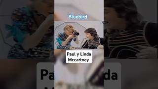 Paul McCartney estaba completamente enamorado de Linda 💘 paulmccartney lindamccartney wings live [upl. by Ezitram105]