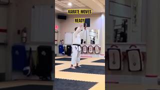 Karate Moves Kata [upl. by Wertz]