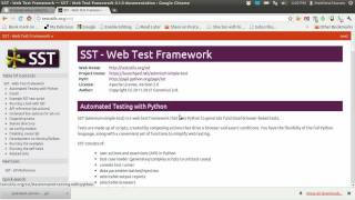 Selenium Simple Test Quick Demo [upl. by Rainger]