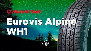 Зимние шины Roadstone Eurovis Alpine WH1 обзор 20202021 [upl. by Namijneb549]