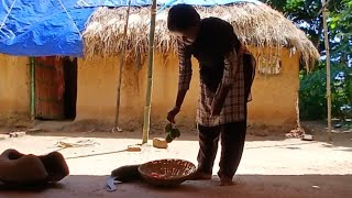 Village Morning Life Cooking Kakora Potato Tomato And Eatingtusuzupuvlogs [upl. by Artus268]