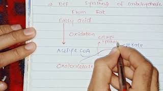 Glyoxylate Cycle Biochemistry [upl. by Anirrehs90]