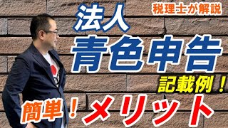 【法人青色申告】メリットや要件取消される場合も？青色申告承認申請書の記載例 [upl. by Sykes]