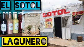 EL SOTOL DE TORRECILLAS DURANGO  MEXICO [upl. by Carlin593]