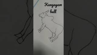 kangayam bull easy pencil diagrams 11th zoology practical [upl. by Gayner]