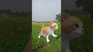 Billi bole meow meow cute cat dance shorts video song cat chyautomobile comedycarton [upl. by Strohben]