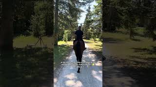 🤷‍♂️🤷‍♂️ equitation equestrian cavalier cheval equestrianlife horse [upl. by Ahoufe]