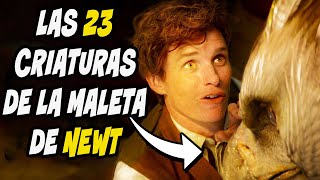 Las 23 CRIATURAS y 15 HÁBITATS de la Maleta de Newt – Harry Potter Explicado [upl. by Wiles]