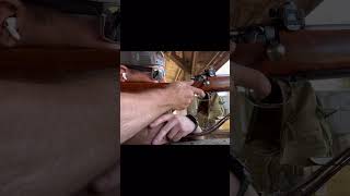 458 win mag shortvideo 458 winchester biggame dangerous recoilcontrol shorts metal music [upl. by Letsirk]