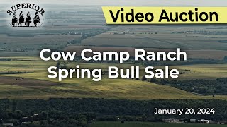 Cow Camp Ranch Spring Bull Sale [upl. by Gnut]