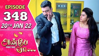 Anbe Vaa Serial  Episode 348  20th Jan 2022  Virat  Delna Davis  Saregama TV Shows Tamil [upl. by Alliehs]