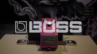 Boss DM2w Delay Waza Craft Demo Oficial Promusica por Mauro Cordero [upl. by Keese]