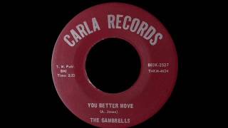 The Gambrells  You Better Move [upl. by Egan]