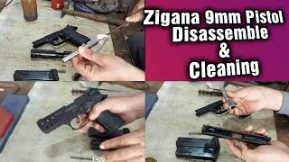 zigana 9mm pistol disassemble and cleaning reviewvideo viral trending pistol [upl. by Haldas]