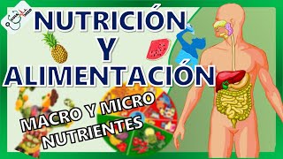 CONCEPTOS BÁSICOS DE NUTRICIÓN Y ALIMENTACIÓN  GuiaMed [upl. by Gustaf]