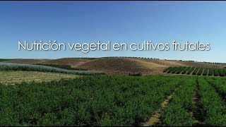 Nutrición vegetal en cultivos frutales [upl. by Beatriz]