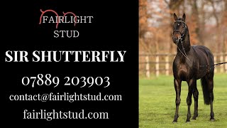 Sir Shutterfly The Stallion Event 2021 [upl. by Karleen]