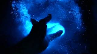 Bioluminescent video compilation featuring PyroDinos by ProrFarms  Naturally glowing plankton [upl. by Llennyl]