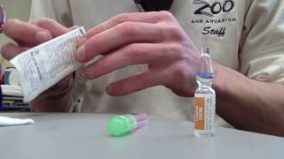 How to Prepare Epinephrine 11000 [upl. by Eatnwahs]