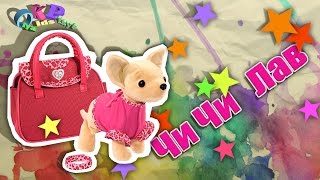 Интерактивная собачка Chi Chi Love Чи Чи Лав Обзор игрушки [upl. by Gide]