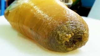 FLABBY SEA MONSTER Geoduck Sashimi  Japanese Street Food in Okinawa [upl. by Alled]