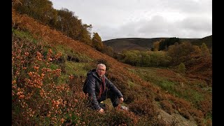 202140 Lammermuir Hills [upl. by Ahsinnek]