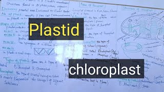 Plastidchloroplastchromoplastleucoplastpashto Detail lectures [upl. by Einafit]