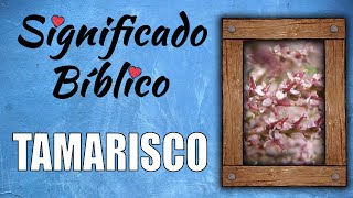 Tamarisco Significado Bíblico  ¿Qué Significa Tamarisco en la Biblia 🙏 [upl. by Alduino399]