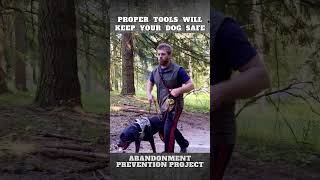 Tools are not only to keep your Dog Safe but to keep EVERYONE Safe [upl. by Pulling845]