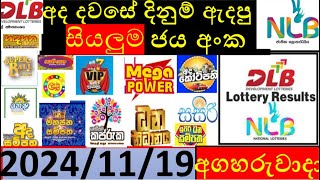 Lottery Results today DLB NLB ලොතරැයි ප්‍රතිපල අද All 20241119 results lottery viral subscribe [upl. by Ydnirb]