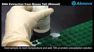 DNA Extraction from Mouse Tail Manual [upl. by Braden89]