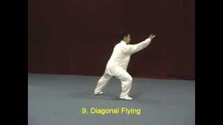 Tai Chi Yang Style 40 demonstration [upl. by Adekram]