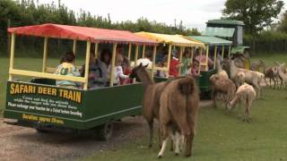 World of Country Life Park in Exmouth [upl. by Marr]