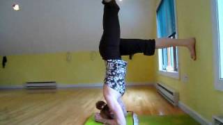 Eka Pada Sirsasana  Headstand variation using a wall as a prop [upl. by Guthry]