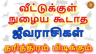 நம் வீட்டுக்குள் வரக்கூடாத உயிரினங்கள் வந்தால் என்ன ஆகும்  veetukul nulaiya koodatha pranikal [upl. by Lezley547]