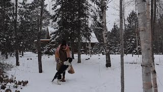 Our life in the Northwoods 30°F day at the homestead [upl. by Toland]