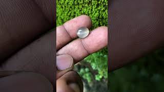 Sillimanite cat’s eye  rare stone 🔨🔨 [upl. by Mathian676]