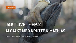 Jaktlivet│Ep2│Älgjakt med Krutte amp Mathias [upl. by Scurlock]