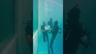 Deepest dive pool in Maldives extremedivefuvahmualah tigershark island divecenter tigershark [upl. by Flosser699]