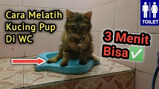 Cara Training Kucing Pup Di WC‼️  Cara Mengajarkan Kucing Pup Di WC  Melatih Kucing Pup Di Toilet [upl. by Mogerly]