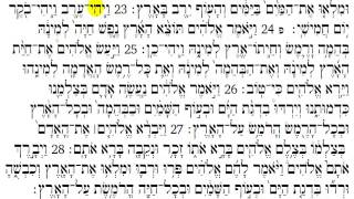 Torah Reading  Genesis Chapter 1 [upl. by Droffilc]