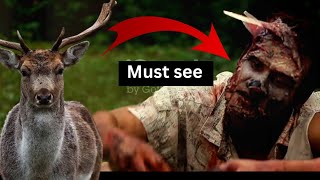 Zombie Deer Diseasequot Lurking Closer Than You Think Cases Raising Human fear [upl. by Eceeryt]