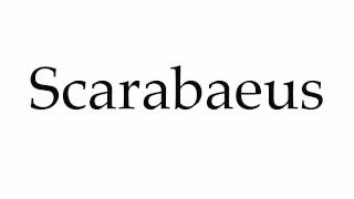 How to Pronounce Scarabaeus [upl. by Eicyaj]